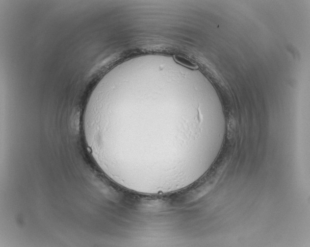 X0000115490454200911271352