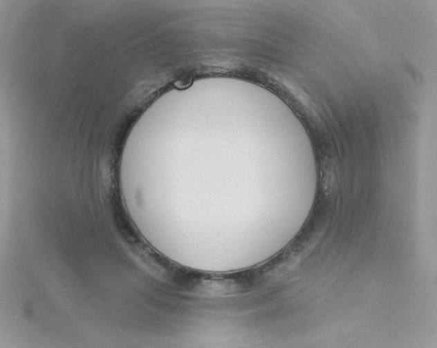 X0000115490455200911271352