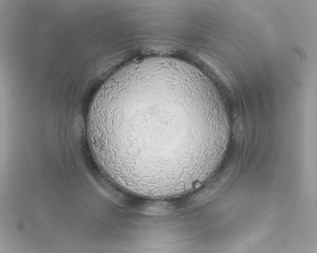 X0000115490459200911271352