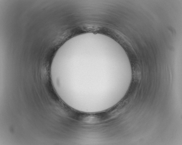 X0000115490460200911271352