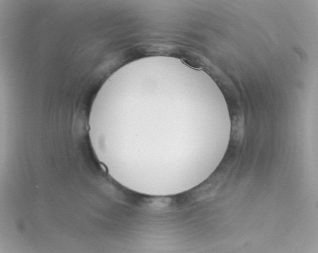 X0000115490474200911271352