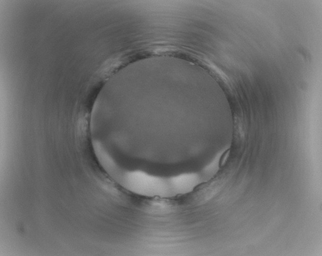 X0000115490475200911271352