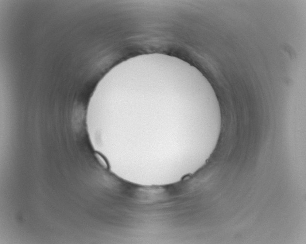 X0000115490480200911271352