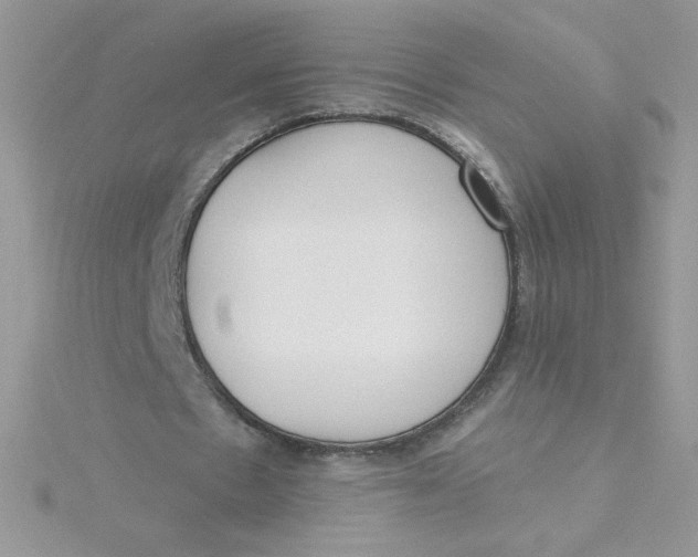 X0000115490481200911271352