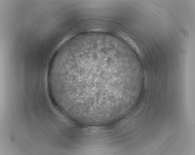 X0000115490482200911271352