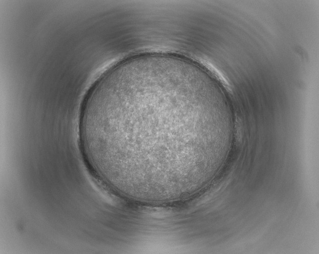 X0000115490486200911271352