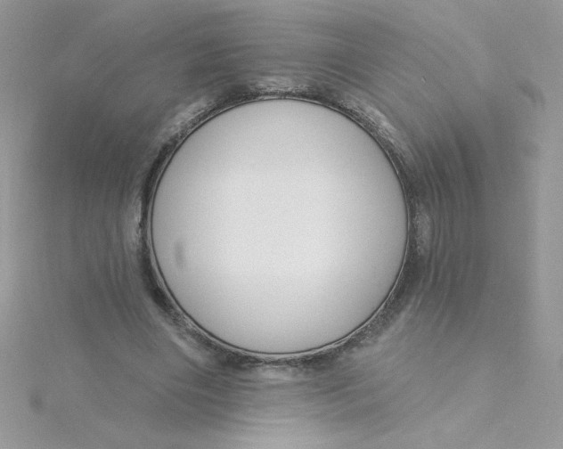 X0000115490490200911271352