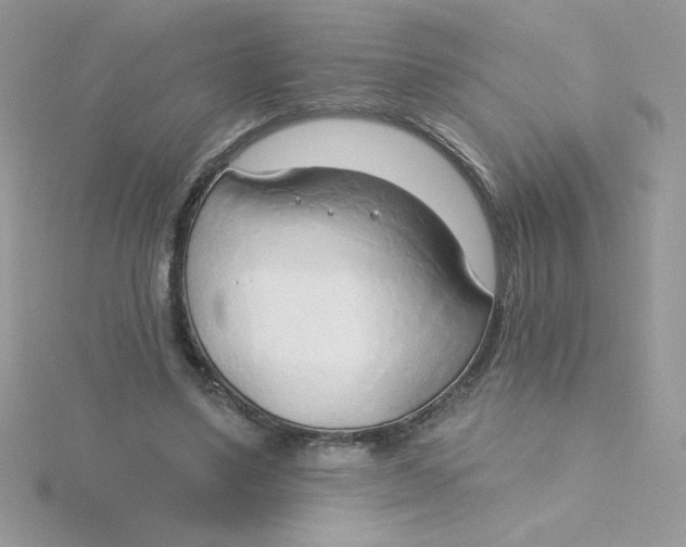 X0000115490491200911271352