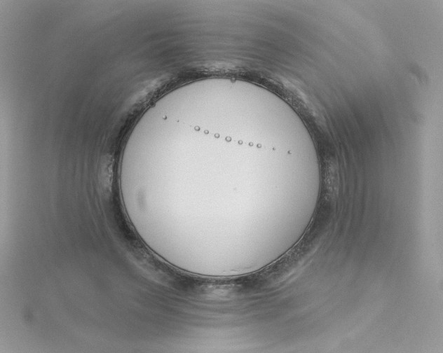X0000115490495200911271352
