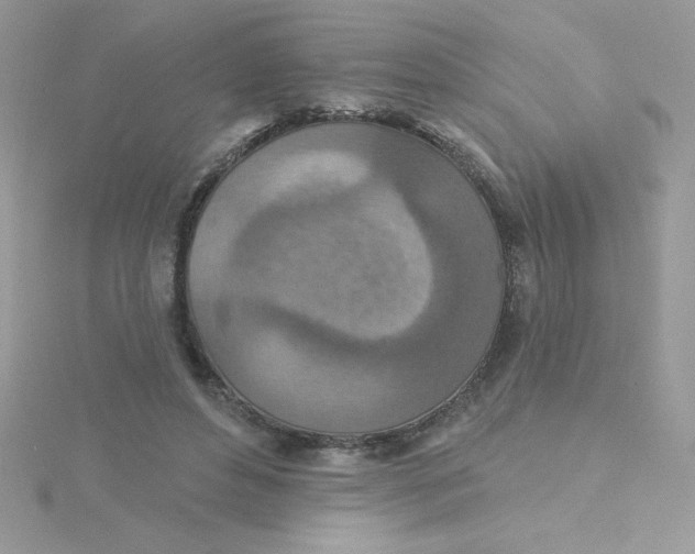X0000115490496200911271352