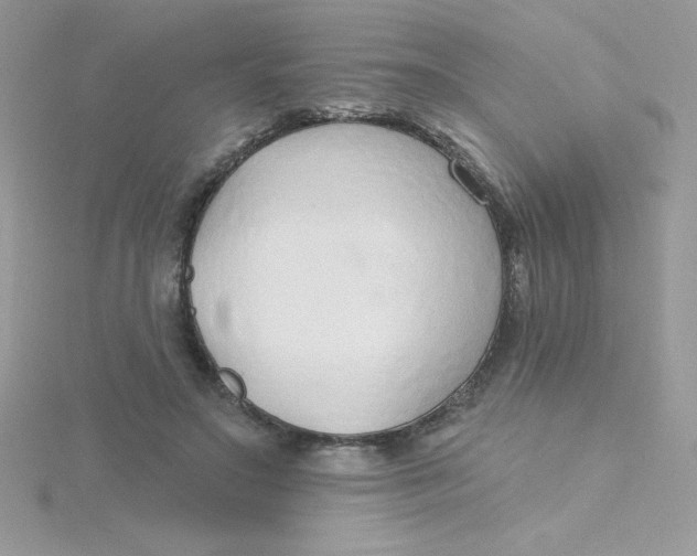 X0000115490499200911271352