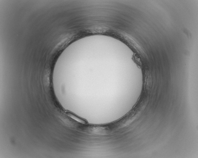 X0000115490501200911271352