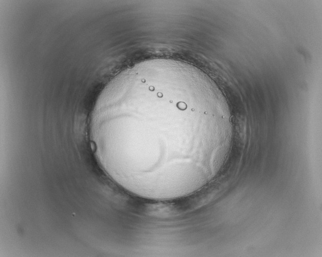 X0000115490511200911271351