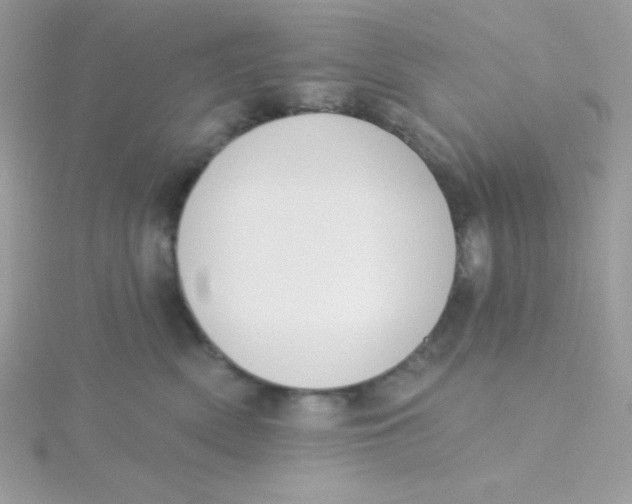 X0000115490522200911271351