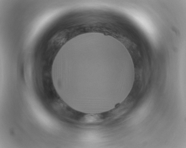 X0000115490526200911271351