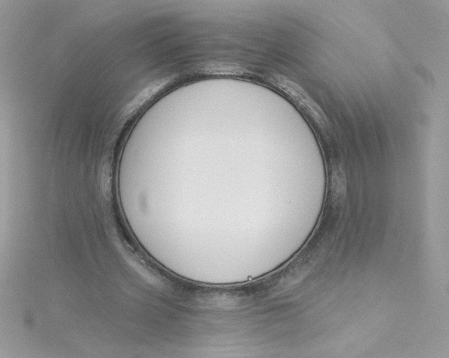X0000115490533200911271350