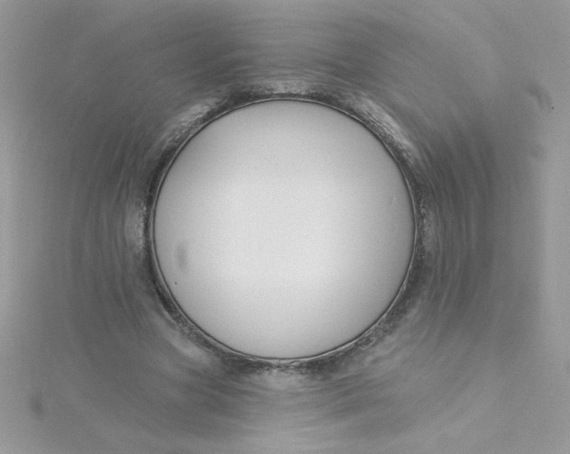 X0000115490537200911271351