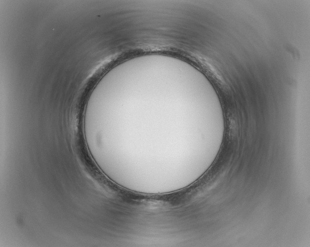 X0000115490539200911271351