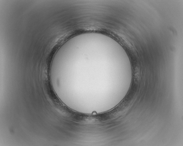 X0000115490547200911271351