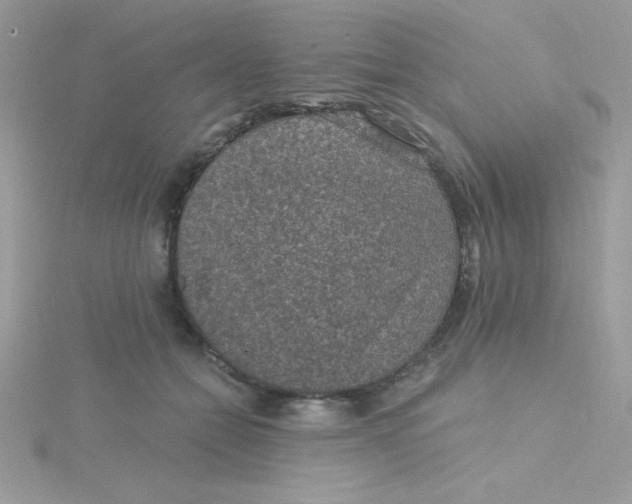 X0000115490558200911271351