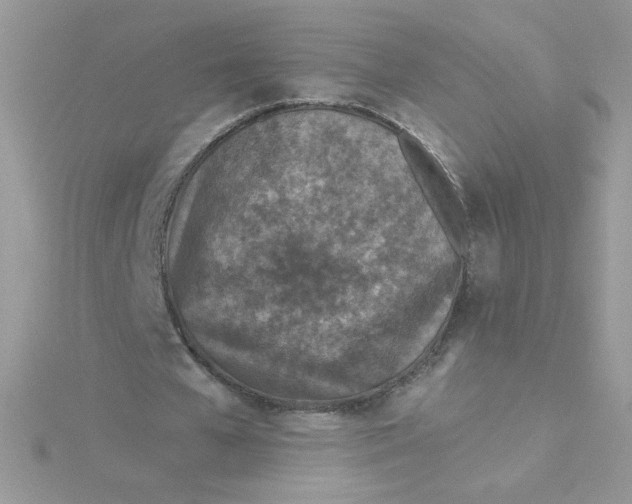 X0000115490577200911271350