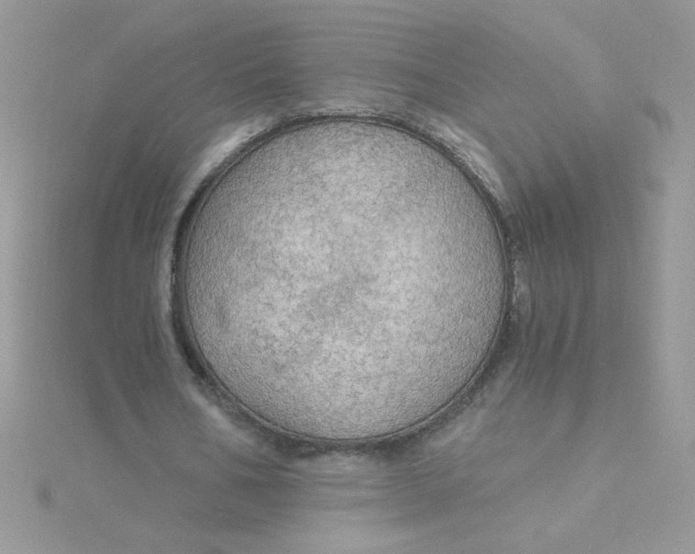 X0000115490578200911271350