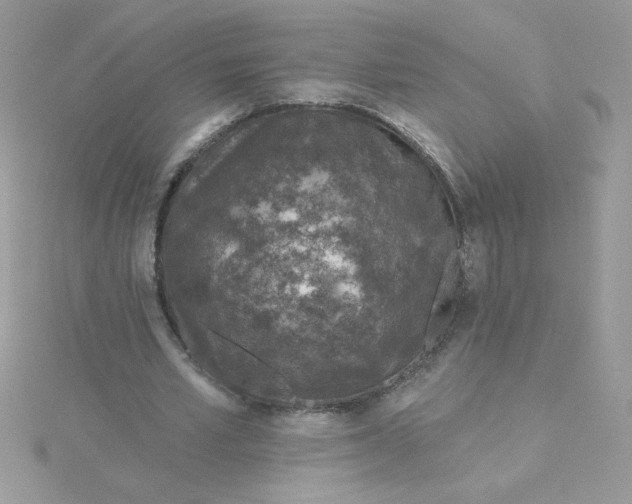 X0000115490581200911271350