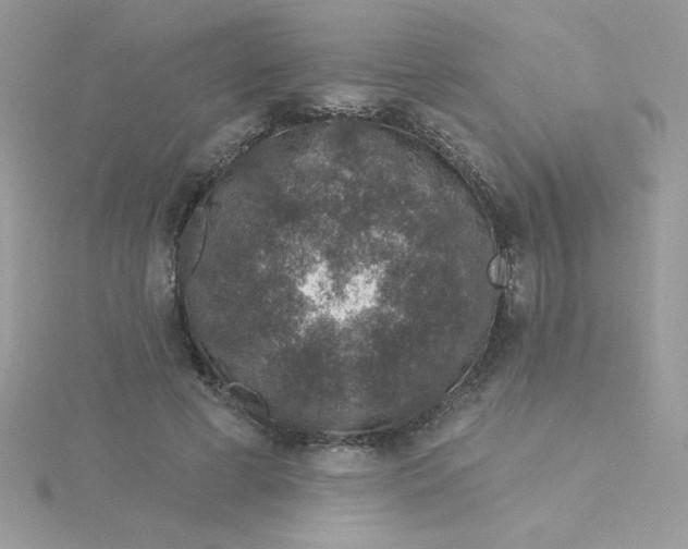 X0000115490593200911271350