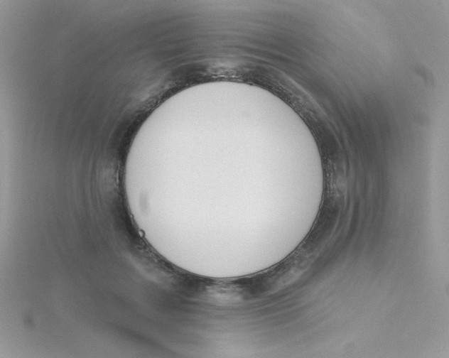 X0000115490603200911271350
