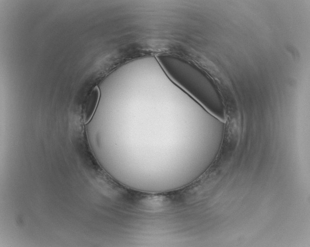 X0000115490609200911271350