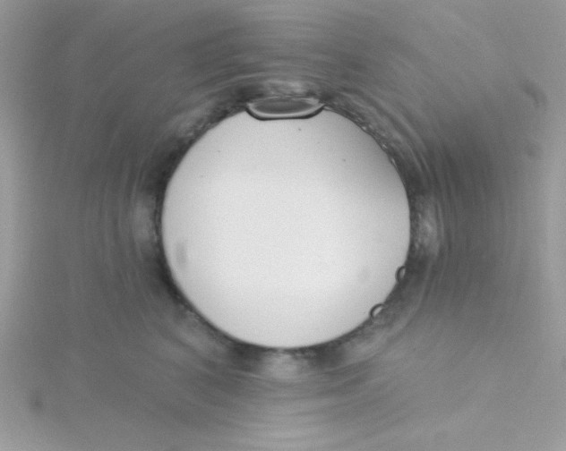 X0000115490616200911271350