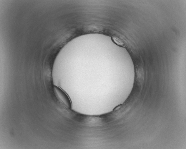 X0000115490617200911271350