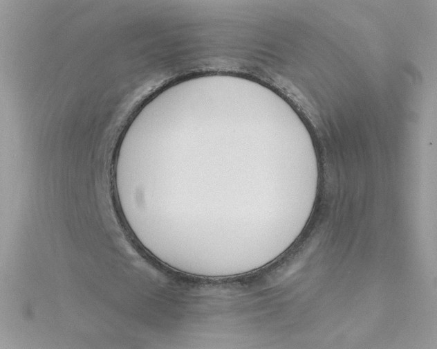 X0000115490625200911271349