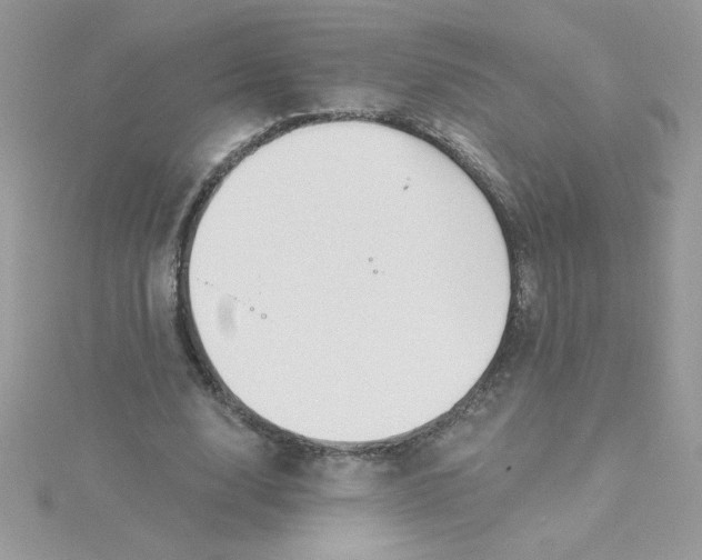 X0000115490632200911271349