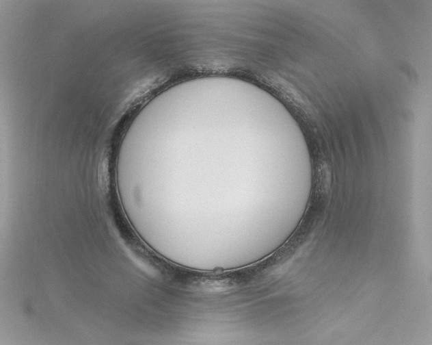 X0000115490638200911271349