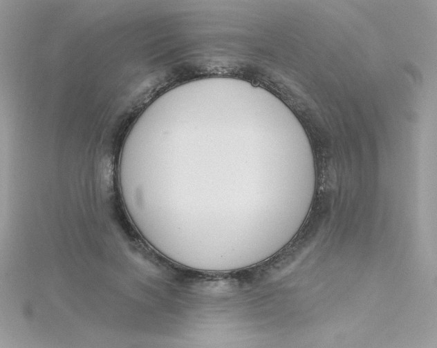 X0000115490646200911271349