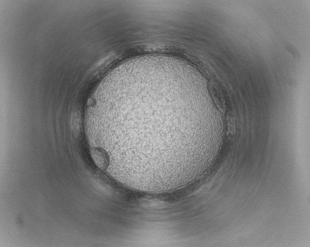 X0000115490648200911271349