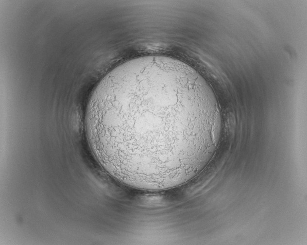 X0000115490651200911271350
