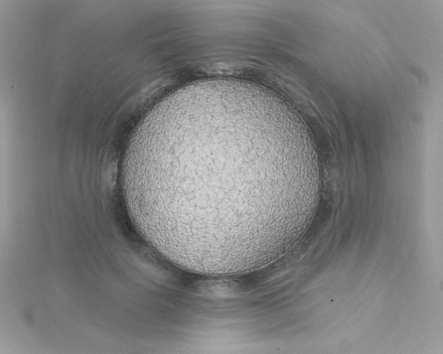 X0000115490652200911271350