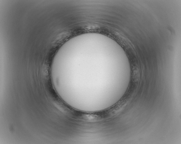 X0000115490654200911271350