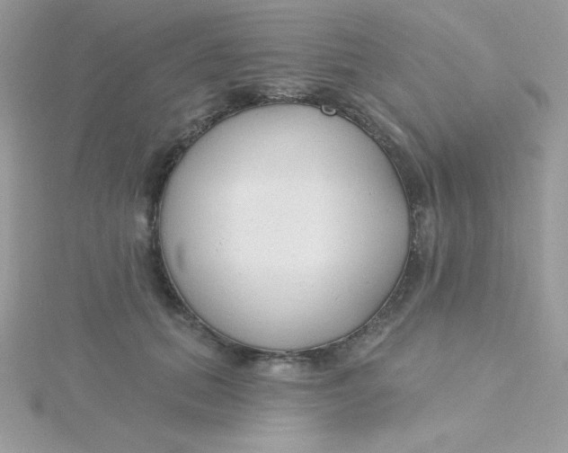 X0000115490655200911271350