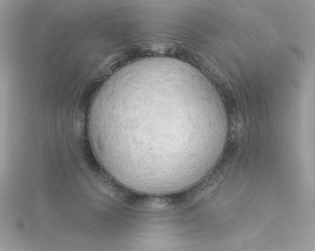 X0000115490656200911271350