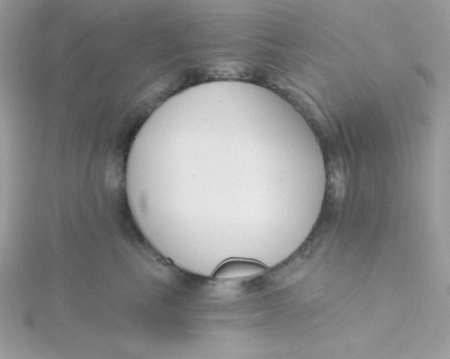 X0000115490665200911271350