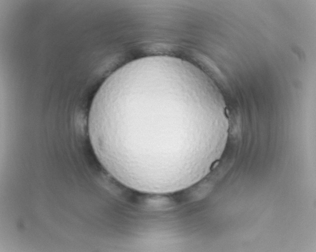 X0000115490669200911271350