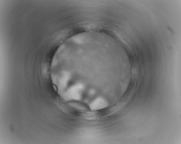 X0000115490671200911271350
