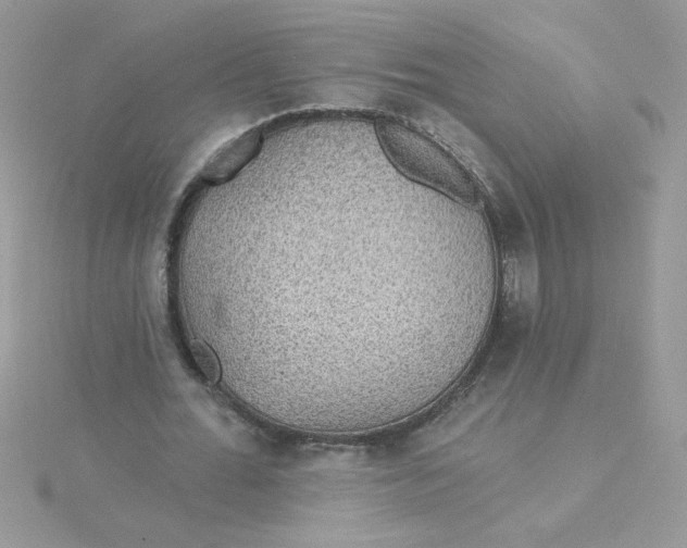 X0000115490676200911271349