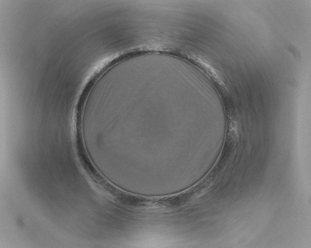 X0000115490678200911271349