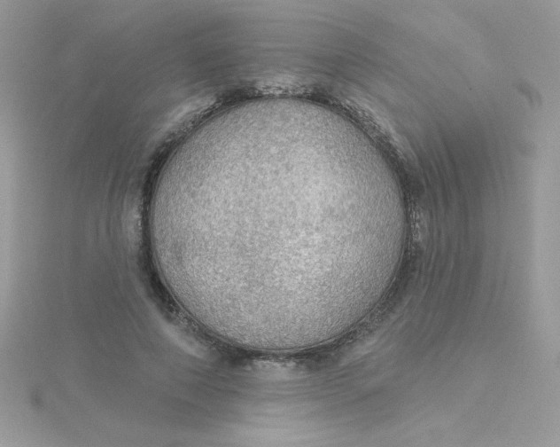 X0000115490690200911271349