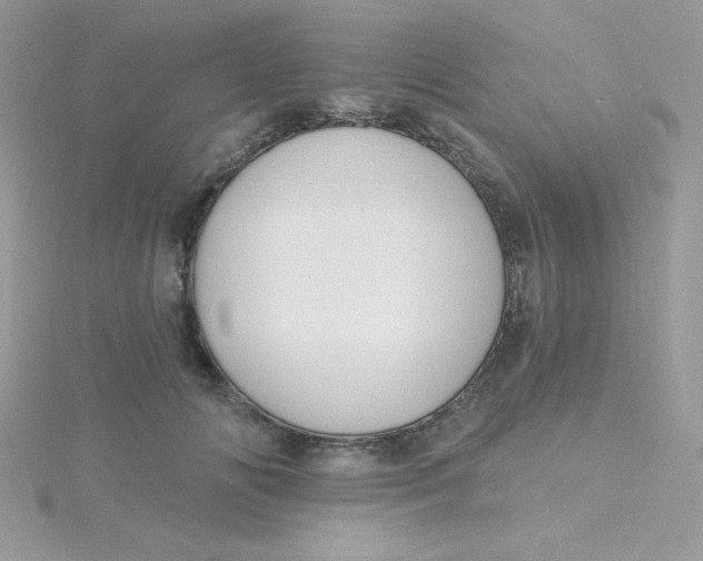 X0000115490702200911271349