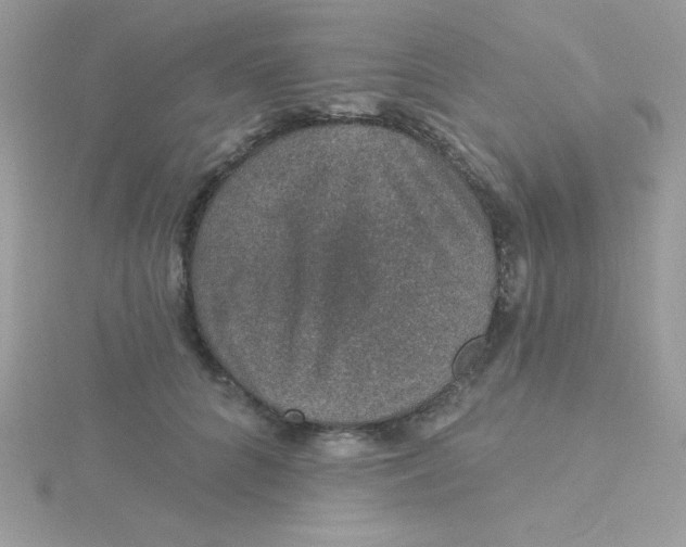 X0000115490704200911271349